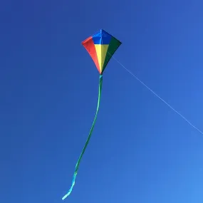 Compact Diamond Kite Red,Blue,Green and Yellow