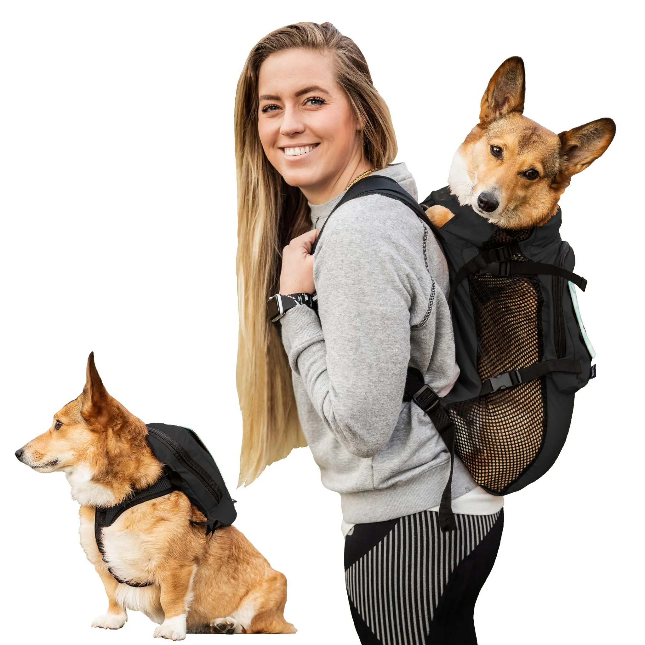 K9 Sport Sack Medium Black Walk-On Dog Backpack with Harness for Pets