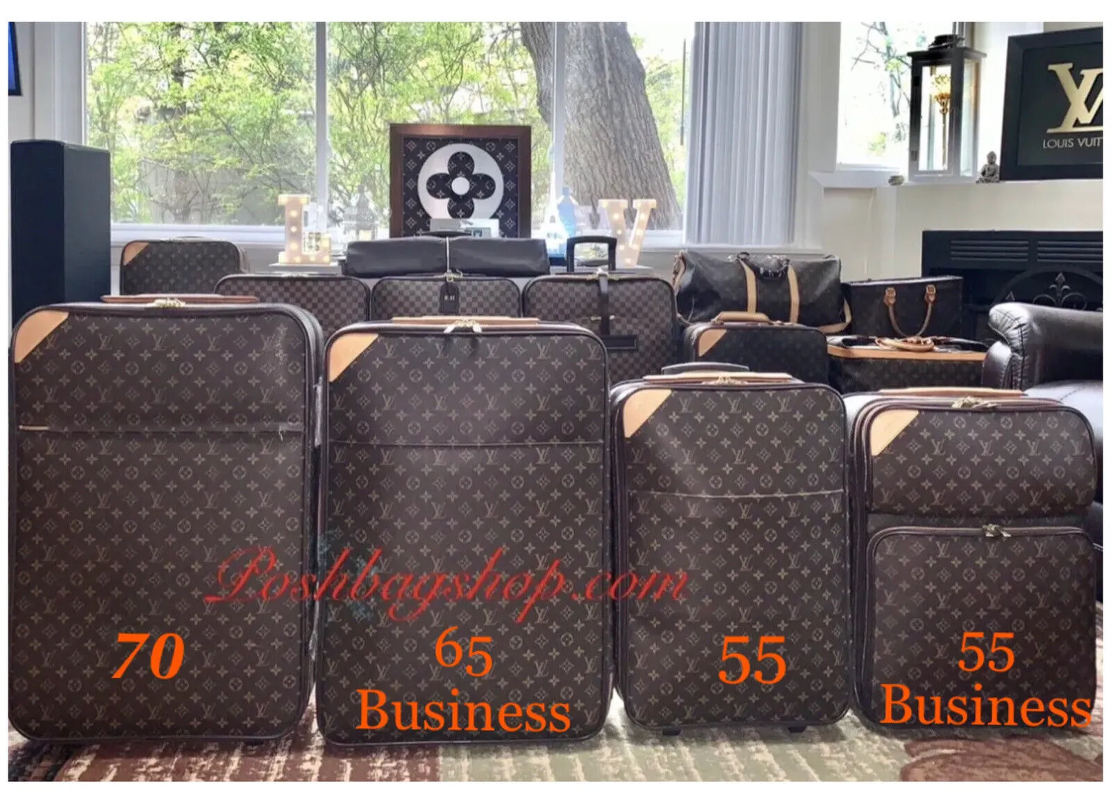Louis Vuitton Pegase 70 Rolling Suitcase Bag w/ Dustbag Discontinued SP1002 🩵