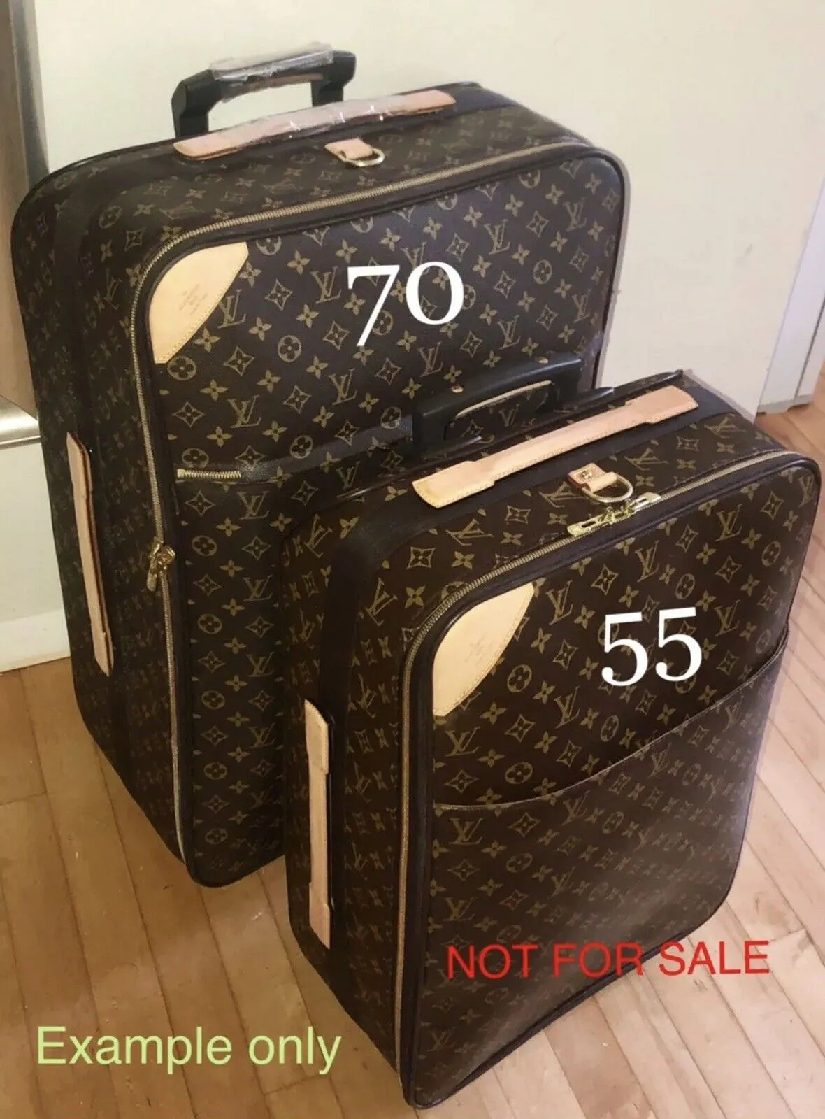 Louis Vuitton Pegase 70 Rolling Suitcase Bag w/ Dustbag Discontinued SP1002 🩵
