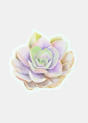 Oki Sticker- Succulent